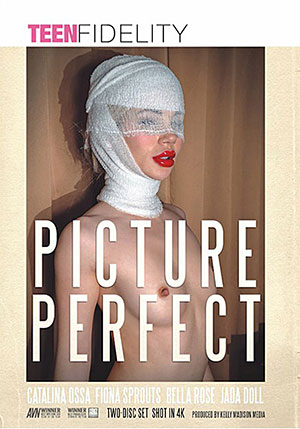 Picture Perfect 1 ^stb;2 Disc Set^sta;