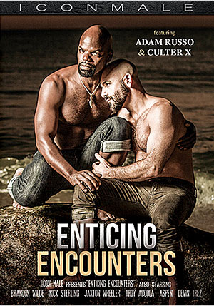 Enticing Encounters 1