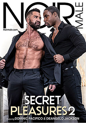 Secret Pleasures 2