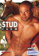 Stud Farm