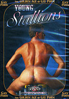The Golden Age Of Gay Porn: Young Stallions