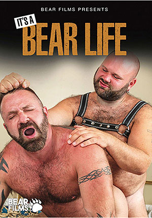 It's A Bear Life