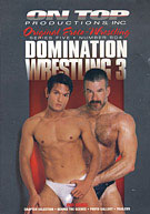 Domination Wrestling 3