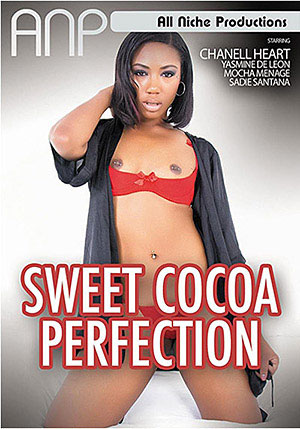 Sweet Cocoa Perfection 1