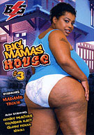 Big Mamas House 3
