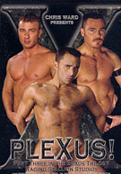Plexus