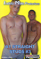 A1 Straight Studs 3